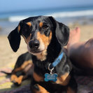 Photo for Looking For A Dependable 1-3x Weekly House Cleaner For Family Living In Malibu