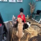 Ayeshah S.'s Photo