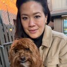 Seeker profile avatar for Nanny Needed For My Children In Saint Louis.