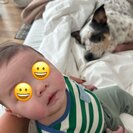 Seeker profile avatar for Babysitter Needed For 1 Child In Chicago.