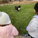 Seeker profile avatar for Babysitter Needed For 3 Children In Mendham.