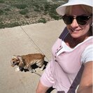 Photo for Looking For A Pet Sitter For 2 Dogs In Dacono