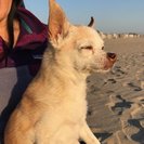 Profile image of Yumiko T.