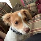 Profile image of Dianne M.