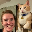 Seeker profile avatar for Looking For A Pet Sitter For 1 Cat, 2 Other Pets In Bloomington