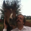 Profile image of Alan M.