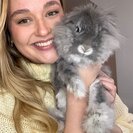 Photo for Looking For A Pet Sitter For 1 Other Pet In Saint Louis