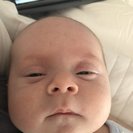 Profile image of Paulina F.