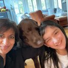 Seeker profile avatar for Babysitter Needed For 1 Child In Potomac.