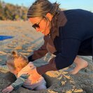 Photo for Childcare Needed For 2 Children In Sebastopol