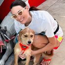 Seeker profile avatar for Looking For A Pet Sitter For 1 Dog In Pompano Beach