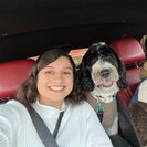 Seeker profile avatar for Need Help With My Dog