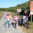 Seeker profile avatar for Looking For A Pet Sitter For 1 Dog In Villanova