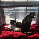 Profile image of Drew M.