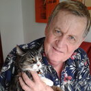 Photo for Looking For A Dependable House Cleaner For Retired Man Living Near Palm Springs Airport