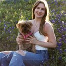 Seeker profile avatar for Dog Sitter For One Small Dog With Heart Disease