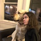 Photo for Assistant For 19 Y/o Woman In Wheelchair
