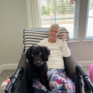 Photo for Evening Drop In Care Needed For My Mom, Saint Augustine