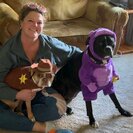 Seeker profile avatar for Looking For A Pet Sitter For 2 Dogs In Topinabee