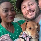 Seeker profile avatar for Sitter Needed For 1 Dog In East Boston