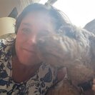 Seeker profile avatar for Looking For A Math Tutor In Poolesville.