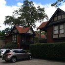 Seeker profile avatar for Need A Housekeeper For 9  Air Bbs Rented Monthly In And Around Midtown Memphis