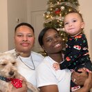 Photo for Fun, Toddler Nanny Needed In Surprise