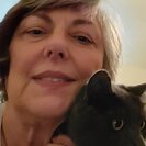 Seeker profile avatar for Looking For A Dependable House Cleaner For Senior Living In Peoria