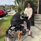 Seeker profile avatar for Nanny Needed For My Children In Venice.