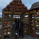 Seeker profile avatar for Looking For A Pet Sitter For 1 Dog In Liverpool