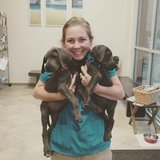Lakeside pet sitter Cassidy W.