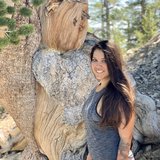 Photo for High School Math Tutor - Looking for someone to help with high s...