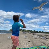 Photo for Nanny With Live In Potential For Child With ADHD. - We are inter...