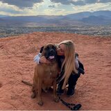 Photo for Math Tutor For 5th Grade Student - Looking for a math tutor for...