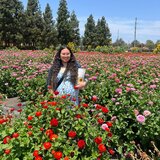 Photo for Babysitter /Nanny Part Time Position Needed 
Long Term Position...