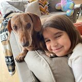 Photo for Looking For A History, Test Prep, English, Math, Science Tutor I...