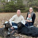 Photo for Nanny/Babysitter Needed For 3 Children - Seeking a nanny near Le...