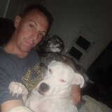 Photo for Looking For A Pet Sitter For 1 Dog - Adult female Pitbull Mix ne...