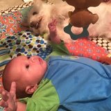 Photo for Household Organizer / Decluttering Assistant - I'm looking for a...