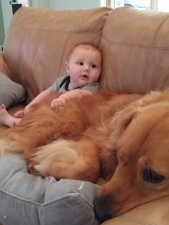 $1,000/week  4-Day House Manager/Nanny Role In Vero Beach