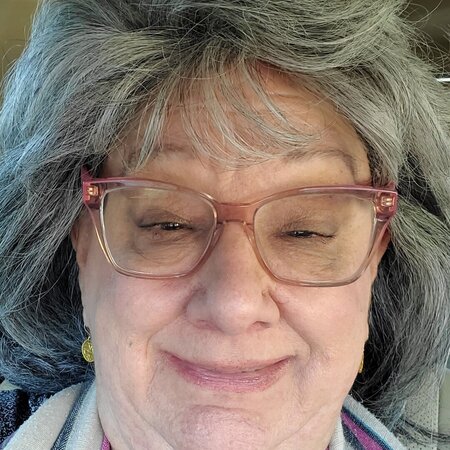 Looking For A Dependable House Cleaner/Personal Assistant In Apple Valley (start At $17 Hr).