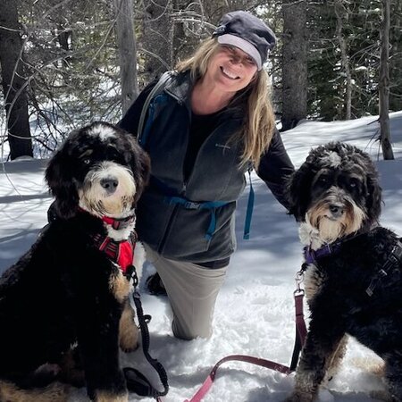 Walker Needed For 2 Dogs In Bluffton