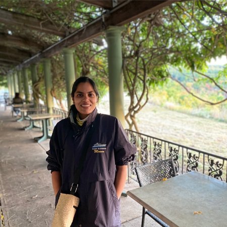 Housekeeper/ Personal Assistant Needed For Organizing Home