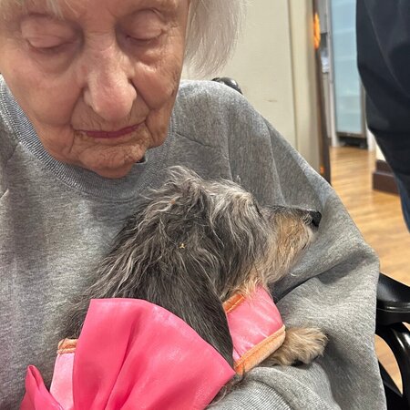 Seeking Full-time Senior Care Provider In Addison