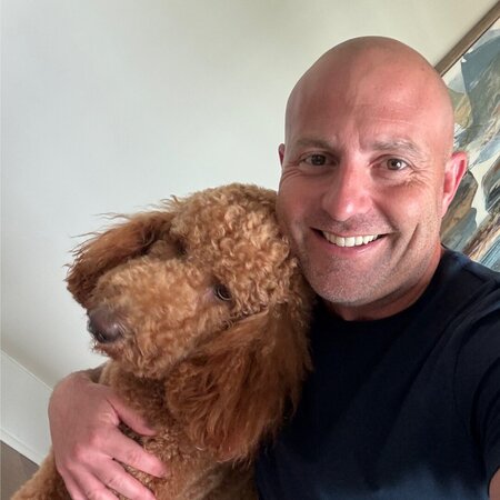 Amazing Poodle Needs Overnights And Days