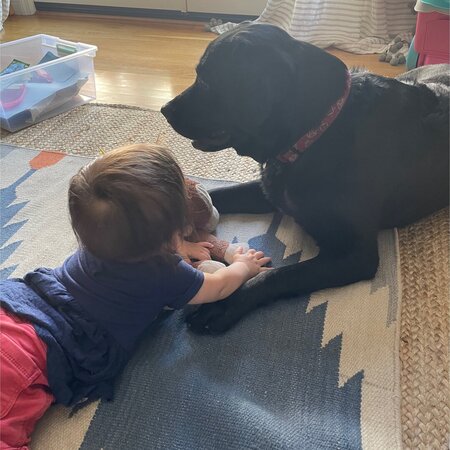 Permanent Part-time Nanny Needed For 2 Children In Los Angeles.