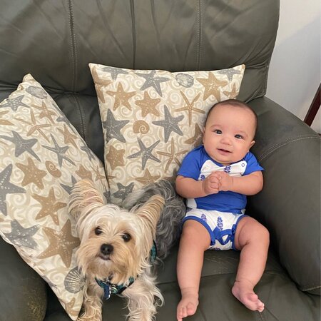 Looking For A Reliable Babysitter