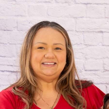 Nanny Needed For 2 Children In South Tampa.