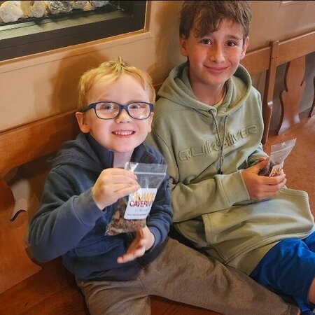 Nanny Needed For 2 Children In Laurens.