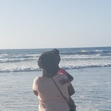 Looking For A History, English, Math, Science Tutor In Fredericksburg.